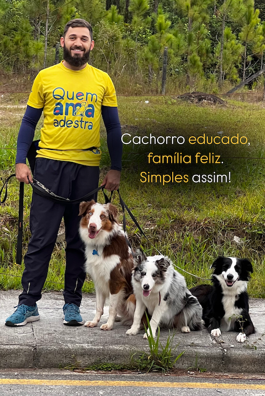 Quanto custa adestrar um cão em Florianópolis?