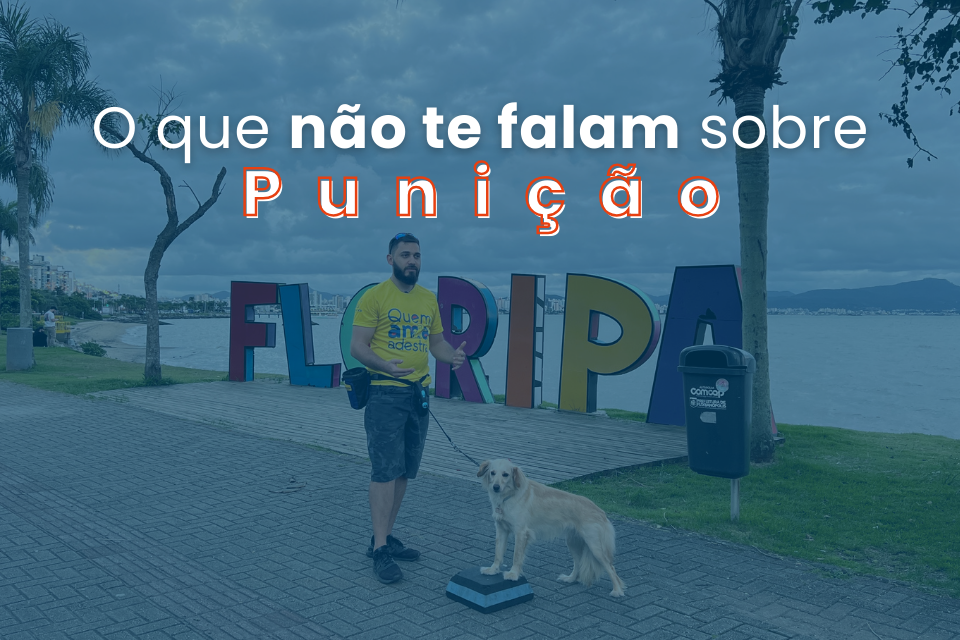 Adestramento com Punição Funciona?